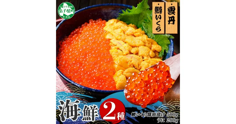 【ふるさと納税】 3009. 2種 海鮮丼 鱒 いくら醤油漬け 100g×5 約5-6人前 ウニ チリ産 冷凍 雲丹 うに 100g×2 セット いくら イクラ いくら醤油 ますいくら マスイクラ 魚卵 ます マス 海鮮 送料無料 北海道 弟子屈町