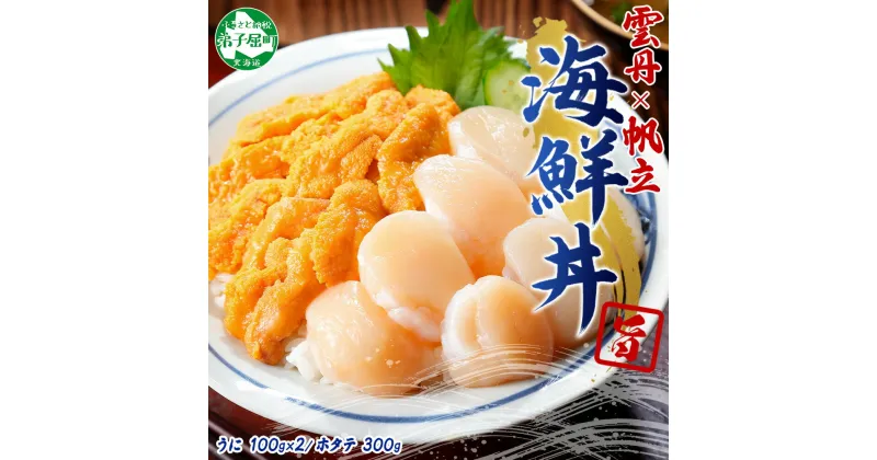 【ふるさと納税】 3077.うに 200g ホタテ300g ほたて ウニ チリ産 冷凍 セット 4人前 ファミリー 雲丹 帆立 大粒 生ほたて 海鮮 送料無料 19000円 北海道 弟子屈町