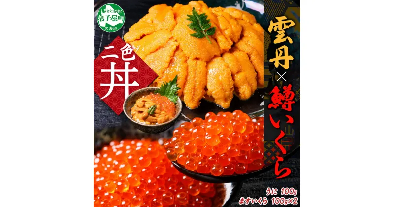 【ふるさと納税】2499. 雲丹 100g 鱒いくら醤油漬け 100g×2個 セット うに ウニ チリ産 ミョウバン不使用 冷凍 いくら イクラ ます マス いくら醤油 お取り寄せ 魚卵 海鮮丼 二色丼 海鮮 手巻き寿司 寿司 送料無料 北海道 弟子屈町 14000円