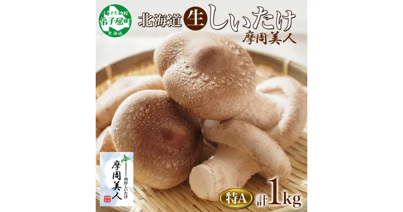 【ふるさと納税】1949. しいたけ 特A 秀品 4パック 計1kg 摩周美人 シイタケ 椎茸 生しいたけ 生シイタケ きのこ キノコ 菌床栽培 大粒 肉厚 鍋 BBQ バーベキュー おかず おつまみ ギフト 送料無料 北海道 弟子屈町 12000円