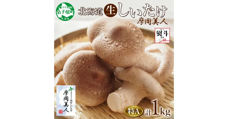 【ふるさと納税】1950. 無地熨斗 しいたけ 特A 秀品 4パック 計1kg 摩周美人 シイタケ 椎茸 生しいたけ 生シイタケ きのこ キノコ 菌床栽培 大粒 肉厚 鍋 BBQ おかず 熨斗 のし 名入れ不可 送料無料 北海道 弟子屈町 12000円