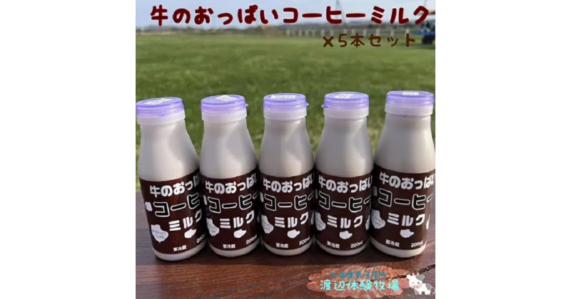 【ふるさと納税】1852.牛のおっぱいコーヒーミルク5本セット