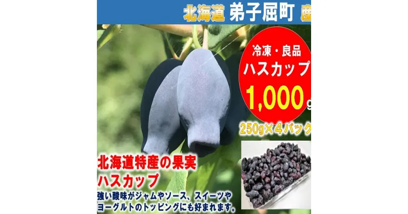 【ふるさと納税】1860.北海道特産の果実ハスカップ（良品）1000g 12000円　冷凍　ハスカップ