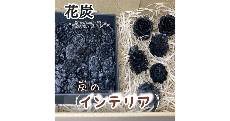 【ふるさと納税】1859.花炭（はなすみ）炭のインテリア　5000円