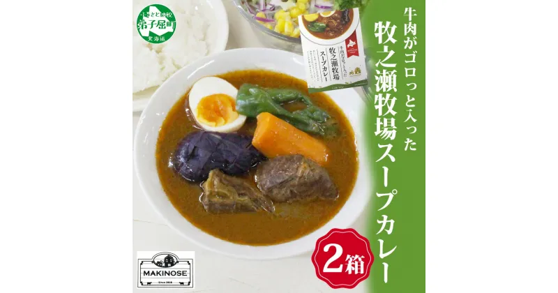 【ふるさと納税】 3021. ビーフ スープカレー 300g 2袋 カレー ビーフカレー スープ 牛 牛肉 放牧牛 牧場 レトルトカレー レトルト食品 レトルト 備蓄 常備 非常用 即席 湯煎 レンジ おかず ギフト プレゼント 牧之瀬牧場 お取り寄せ 送料無料 北海道 弟子屈町