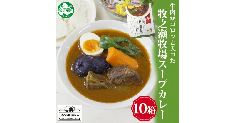 【ふるさと納税】 3023. ビーフ スープカレー 300g 10箱 カレー ビーフカレー スープ 牛 牛肉 放牧牛 牧場 レトルトカレー レトルト食品 レトルト 備蓄 常備 非常用 即席 湯煎 レンジ おかず ギフト プレゼント 牧之瀬牧場 お取り寄せ 送料無料 北海道 弟子屈町