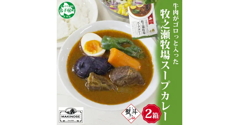 【ふるさと納税】 3025. 無地熨斗 ビーフ スープカレー 300g 2箱 カレー ビーフカレー スープ 牛 牛肉 放牧牛 牧場 レトルトカレー レトルト食品 レトルト 備蓄 常備 非常用 即席 湯煎 レンジ おかず ギフト プレゼント 牧之瀬牧場 お取り寄せ 送料無料 北海道 弟子屈町