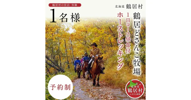 【ふるさと納税】 北海道 鶴居村 どさんこ牧場 ホーストレッキング 1日コース 昼食付 1名様 観光 トラベル ホテル 旅行 宿泊 アクティビティ