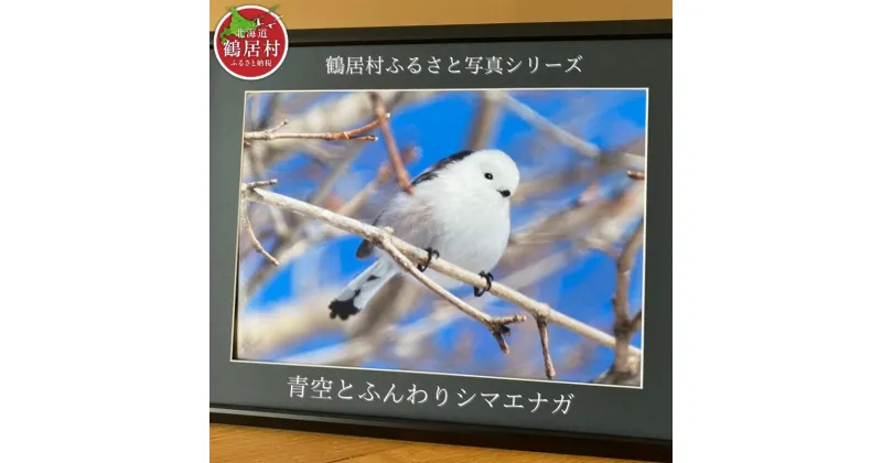 【ふるさと納税】農場カメラマンが撮った鶴居村ふるさと写真シリーズ　【青空とふんわり シマエナガ 】　北海道　鶴居村　自然　野生動物　フクロウ