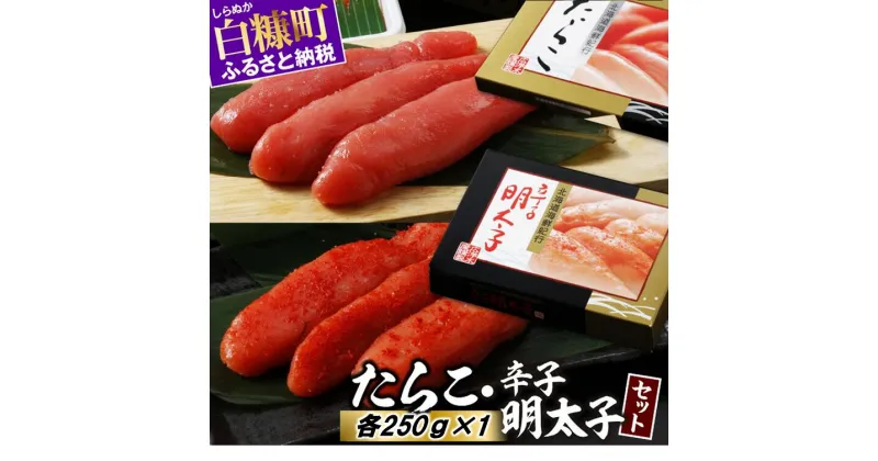 【ふるさと納税】高評価 4.49 たらこ・辛子明太子セット 各250g×1 明太子 たらこ 北海道 めんたいこ 辛子明太子 人気 ランキング 魚介類 魚介 海鮮 グルメ ごはんのお供 白米 魚卵 プチプチ食感 北海道 白糠町