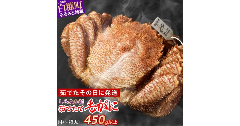 【ふるさと納税】しらぬか産 茹でたて毛がに【450g以上～】 ふるさと納税 北海道 応援