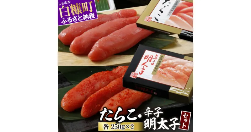 【ふるさと納税】 高評価 4.76 たらこ・辛子明太子セット 各250g×2 ふるさと納税 海鮮 たらこ 明太子 辛子明太子 めんたいこ 人気 北海道グルメ 食べ物 ランキング 魚介類 魚介 一本 グルメ ごはんのお供 白米 魚卵 プチプチ食感 北海道 白糠町