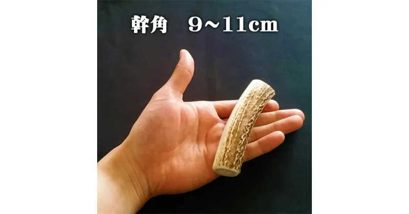 【ふるさと納税】えぞ鹿カット角【約10cm×3本】※トリーツ