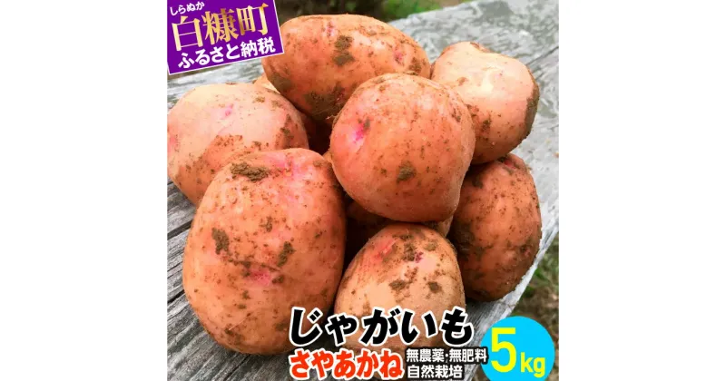 【ふるさと納税】じゃがいも（さやあかね）無農薬・無肥料・自然栽培・北海道産【5kg】 ふるさと納税 北海道