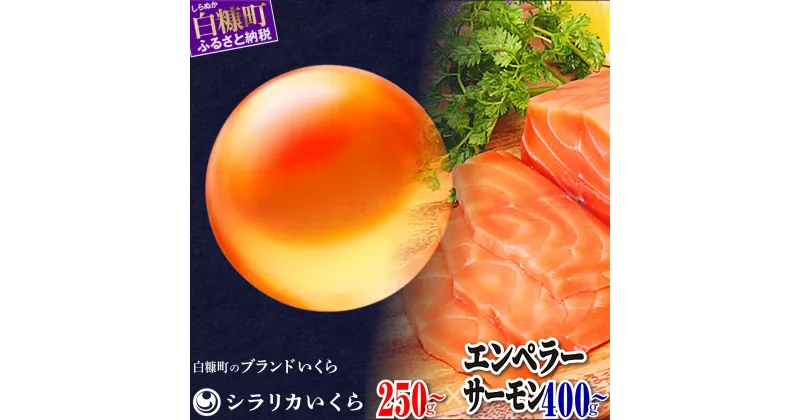 【ふるさと納税】シラリカいくら（生いくら）250g／500g／750gとエンペラーサーモン400g／900gセット お好みに味付けができます 味付けなし 北海道海鮮紀行 生いくら 北海道産 国産 いくら イクラ 鮭いくら 鮭イクラ 鮭 秋鮭 完熟卵 魚卵 魚 魚介 小分け 海鮮 人気