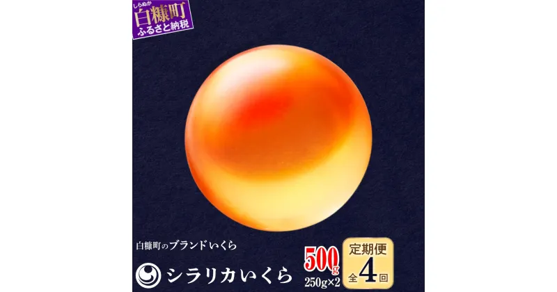 【ふるさと納税】 年4回お届け定期便 シラリカいくら【500g(250g×2)】 お好みに味付けができます 味付けなし 北海道海鮮紀行 生いくら 北海道産 国産 ふるさと納税 いくら イクラ 鮭いくら 鮭イクラ 鮭 秋鮭 完熟卵 魚卵 魚介 小分け 海鮮 人気 いくらの町 北海道 白糠町