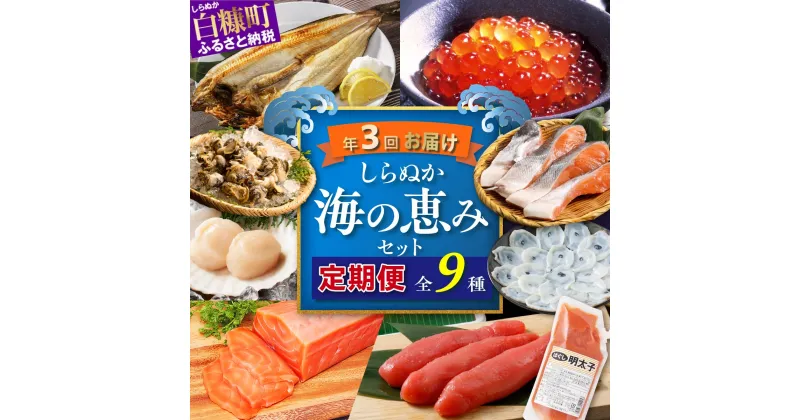 【ふるさと納税】【定期便】 高評価 5.00 ふるさと納税 海鮮 年3回お届け しらぬか海の恵みセット’23-’24 (年3回定期便) 魚 頒布会 詰合せ 海鮮食品 魚介類 魚介 人気 北海道 白糠町