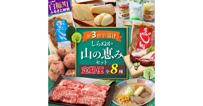 【ふるさと納税】しらぬか山の恵みセット’23-’24【年3回定期便】　頒布会 魚 鮭