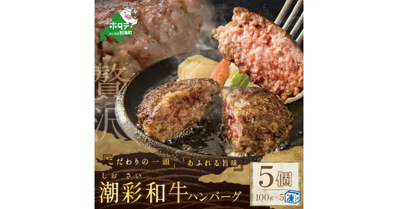 【ふるさと納税】野付産 【潮彩和牛】ハンバーグ100g×5個 （ ふるさと納税 訳あり 冷凍ハンバーグ ふるさと納税 ハンバーグ 訳あり ふるさと納税 はんばーぐ ふるさと納税 牛肉 ハンバーグ 牛 牛100% 牛はんばーぐ 惣菜 おそうざい 冷凍 肉 ハンバーグ 黒毛 ）