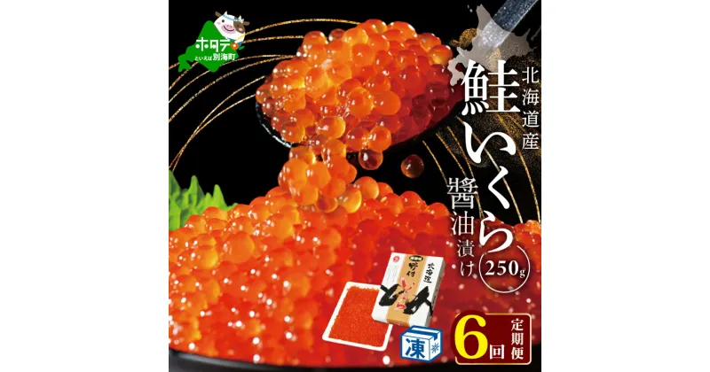 【ふるさと納税】【 年6回 いくら 定期便 6ヶ月 半年 定期 】北海道 別海町 産 鮭 イクラ 250g 1パック 6回 漁協から直送 計1.5kg( ふるさと納税 イクラ 定期便 ふるさと納税 いくら 定期便 ふるさと納税 定期便 いくら 醤油漬け 国産 鮭卵 6 6ヵ月 秋 旬 )