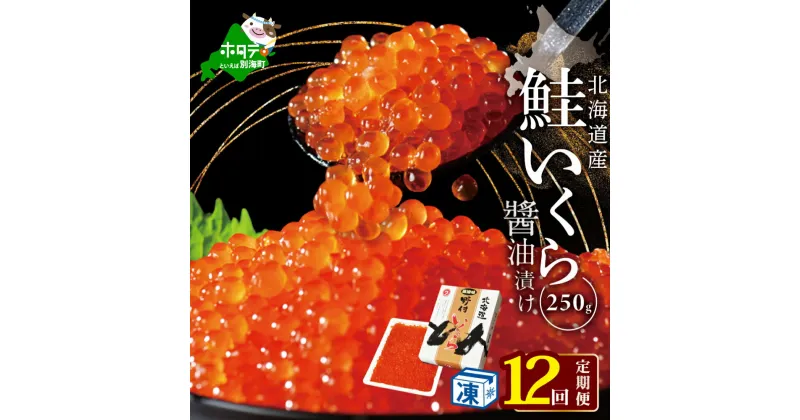 【ふるさと納税】【 年12回 いくら 定期便 毎月 定期 】北海道 別海町 産 鮭 イクラ 250g 1パック 12回 漁協から直送 計 3kg （ ふるさと納税 イクラ 定期便 ふるさと納税 いくら 定期便 醤油漬け 大粒 小分け 国産 鮭卵 12 12ヶ月 12ヵ月 12か月 ） 秋 旬