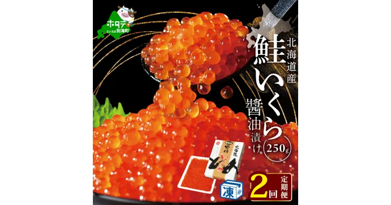 【ふるさと納税】【 年2回 いくら 定期便 毎月 定期 】高評価★4.67 北海道 別海町 産 鮭 イクラ 250g 1パック 2回 漁協から直送 計 500g （ ふるさと納税 イクラ 定期便 ふるさと納税 いくら 定期便 醤油漬け 500グラム 小分け 鮭卵 2 2ヶ月 2ケ月 2ヵ月 2か月 ） 秋 旬