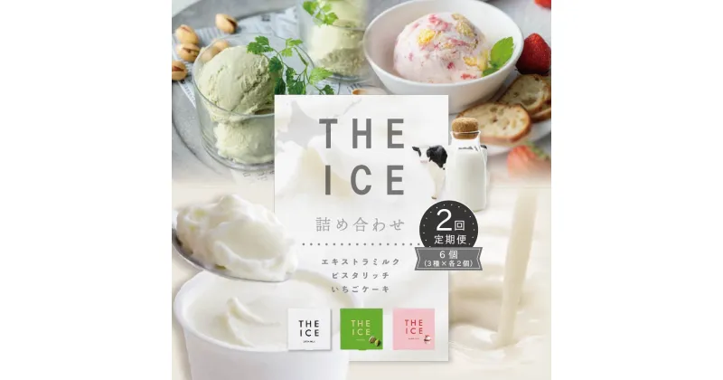 【ふるさと納税】【毎月定期便】【THE ICE】3種詰合せ6個セット×2ヵ月定期便 （J FARM AMUSE 株式会社）