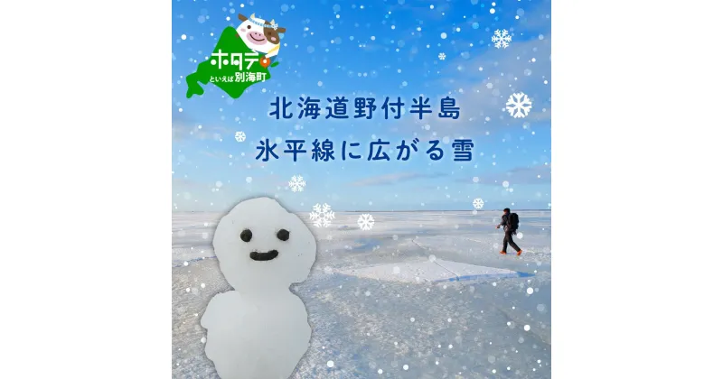 【ふるさと納税】北海道野付半島 氷平線に広がる「雪」