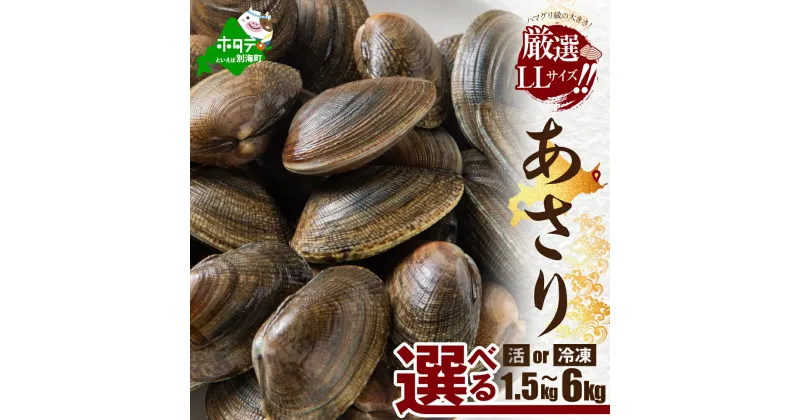 【ふるさと納税】北海道 道東産 アサリ中 選べる (1.5kg / 3kg / 6kg) 冷凍 活 アサリ 貝（北翔丸水産）( ふるさと納税 あさり アサリ 春 旬 )