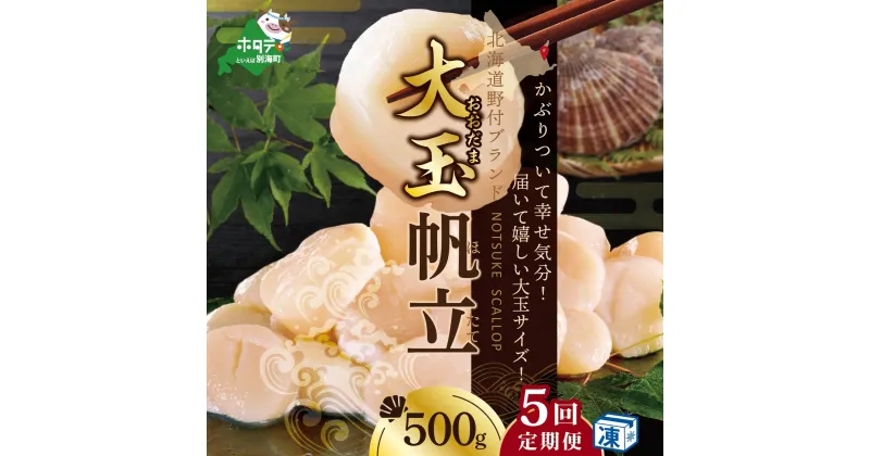 【ふるさと納税】【 緊急支援品 年5回 ホタテ 定期便 5ヶ月 連続 定期 】北海道 野付産 漁協からお届け 冷凍ホタテ貝柱 届いて嬉しい 大玉 ホタテ 500g 全 5回 ( ほたて 定期便 ふるさと納税 定期便 ふるさと納税 帆立 定期便 ほたて貝柱 ホタテ貝柱 帆立貝柱 送料無料 )