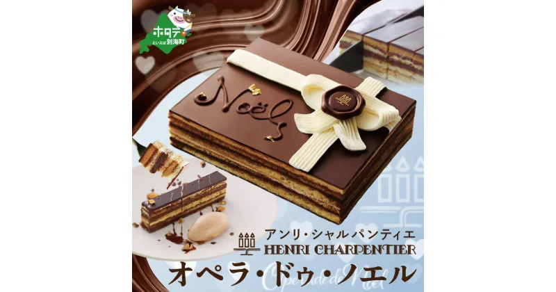 【ふるさと納税】高評価★4.38 オペラ ・ドゥ・ノエル 冷凍 ケーキ 【アンリ・シャルパンティエ】（ ふるさと納税 ふるさと チョコレート ケーキ ふるさと納税 ケーキ ふるさと ケーキ チョコ ギフト スイーツ 誕生日 クリスマス 北海道 北海道別海町 ）