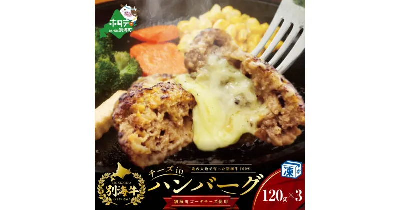 【ふるさと納税】チーズがとろける! チーズインハンバーグ (120g×3個)（ ふるさと納税 ハンバーグ 牛肉 ふるさと納税 ハンバーグ チーズ ふるさと納税 チーズハンバーグ ふるさと ハンバーグ ふるさと チーズ 牛 ふるさと納税 訳あり ふるさと納税 訳あり 冷凍ハンバーグ ）