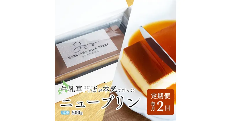 【ふるさと納税】【定期便】濃厚プリン New Pudding（ニュープディング）（500g×1本）×2ヶ月【be152-0931-100-2】