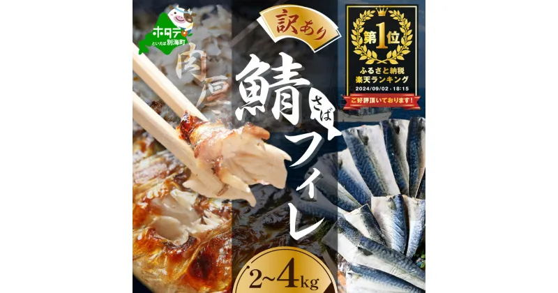 【ふるさと納税】総合1位獲得 訳あり 塩 サバ フィレ 2～4kg 【内容量が選べる】（ふるさと納税 国産 鯖 ふるさと納税 サバ 塩サバ 魚 切り身 ふるさと納税 訳あり 魚 ふるさと おかず 惣菜 大容量 魚介 ヒレ フィレ ） 北海道 別海町（クラウドファンディング対象）