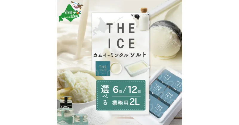 【ふるさと納税】THE ICE KAMUI-MINTAL SALT ( カムイ・ミンタルソルト ) ジェラート 選べる内容量 100ml× 6個 12個 2L×1個