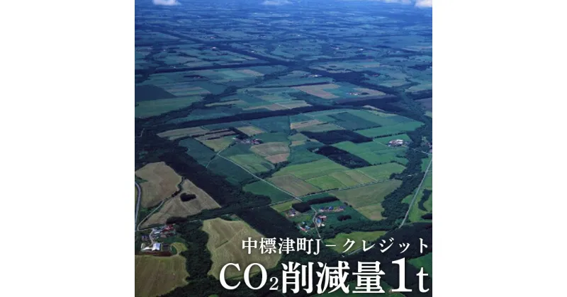 【ふるさと納税】中標津町Jクレジット CO2削減量1t カーボンオフ 地球温暖化防止 間伐促進 環境保全クレジット 木製コースター 雑貨 日用品 コースター ふるさと納税 北海道 中標津町 中標津【38001】