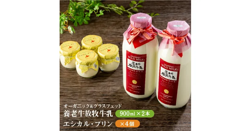 【ふるさと納税】オーガニック＆グラスフェッド養老牛放牧牛乳900ml×2本 エシカル・プリン4個 プリン オーガニック オーガニック牛乳 牛乳 おいしい牛乳 乳製品 乳飲料 有機JAS認証 低温殺菌 高栄養 スイーツ ふるさと納税 北海道【13012】