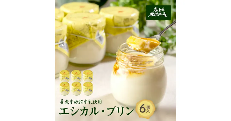 【ふるさと納税】養老牛放牧牛乳使用エシカル・プリン6個 プリン オーガニック オーガニック牛乳 牛乳 おいしい牛乳 乳製品 乳飲料 有機JAS認証 低温殺菌 高栄養 スイーツ ふるさと納税 北海道 中標津町 中標津【13013】