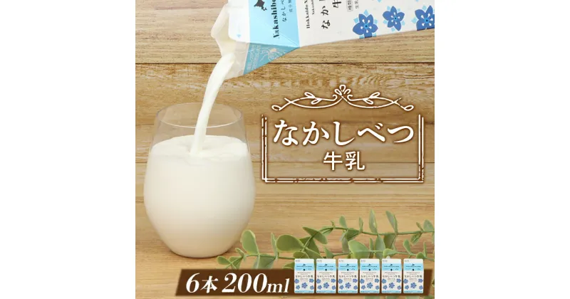 【ふるさと納税】なかしべつ牛乳 200ml×6個 牛乳 北海道 ミルク 乳製品 乳飲料 健康 朝食 高栄養 国産 お取り寄せ 4000円 4,000円 ふるさと納税 中標津町 中標津【1402501】