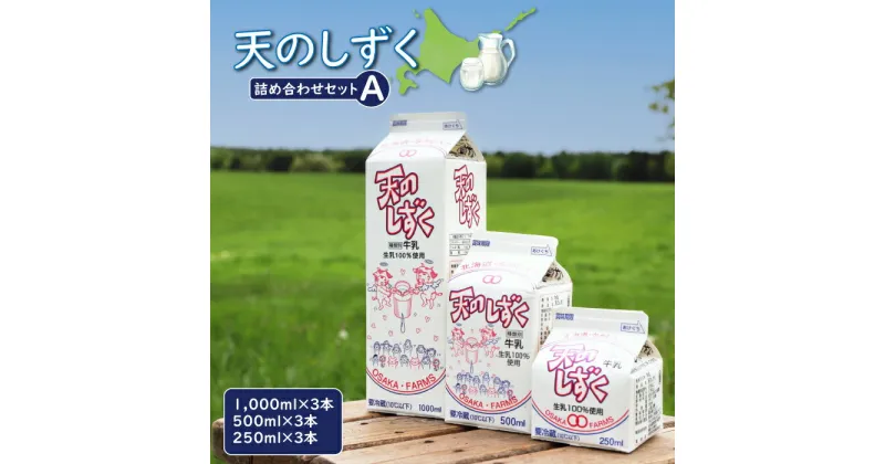 【ふるさと納税】天のしずく 詰め合わせセットA 1000ml×3本 500ml×3本 250ml×3本 牛乳 ミルク　生乳100％ お取り寄せ 贈り物 中温殺菌 OSAKA FARMS 北海道 中標津町 中標津【51001】