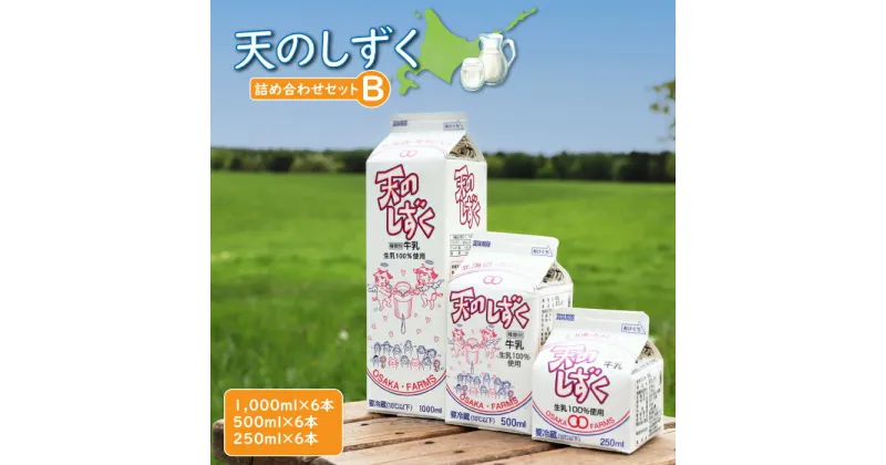 【ふるさと納税】天のしずく 詰め合わせセットB 1000ml×6本 500ml×6本 250ml×6本 牛乳 ミルク　生乳100％ お取り寄せ 贈り物 中温殺菌 OSAKA FARMS 北海道 中標津町 中標津【51002】