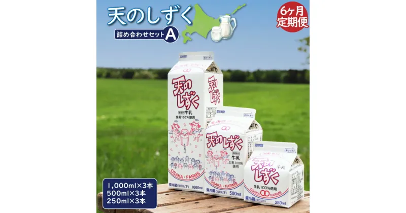 【ふるさと納税】【定期便：6回】 天のしずく 詰め合わせセットA 1000ml×3本 500ml×3本 250ml×3本 牛乳 ミルク　生乳100％ お取り寄せ 贈り物 中温殺菌 OSAKA FARMS 北海道 中標津町 中標津【51003】