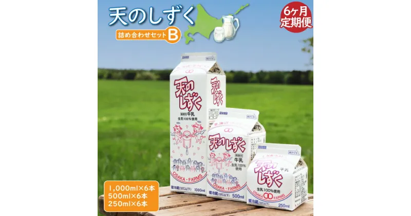 【ふるさと納税】【定期便：6回】 天のしずく 詰め合わせセットB 1000ml×6本 500ml×6本 250ml×6本 牛乳 ミルク　生乳100％ お取り寄せ 贈り物 中温殺菌 OSAKA FARMS 北海道 中標津町 中標津【51004】