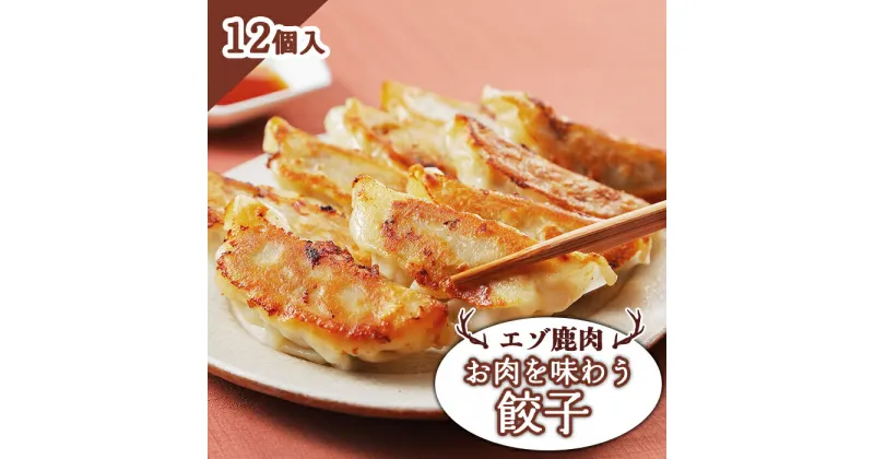 【ふるさと納税】エゾ鹿肉 お肉を味わう餃子 12個入 ジビエ 鹿肉 餃子 アイヌネギ あらびき お取り寄せ 冷凍 時短 料理 大和殿 ふるさと納税 北海道 中標津町 中標津【30013】