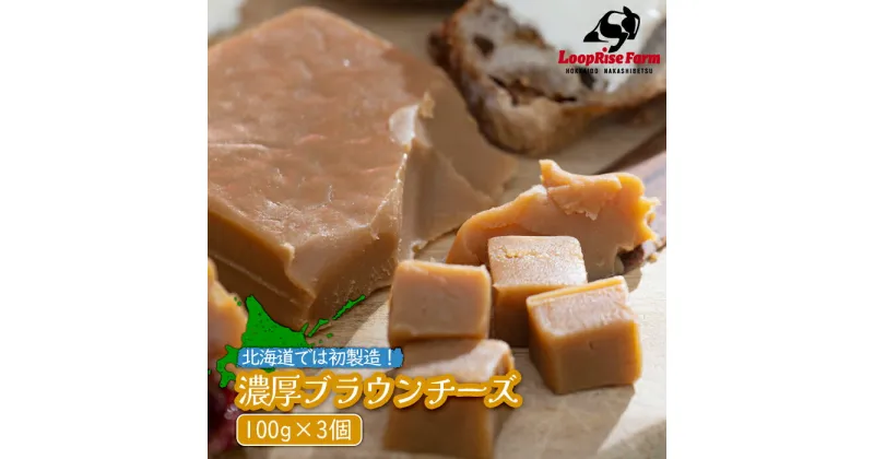 【ふるさと納税】濃厚ブラウンチーズ 100g 3個 乳製品 チーズ ブラウンチーズ 発酵食品 ホエイ 珍しいチーズ ちーず 濃厚 SDGs 北海道初製造 パン ワイン お酒 つまみ ふるさと納税 北海道 中標津町 中標津【49005】