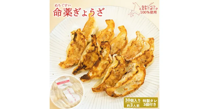 【ふるさと納税】なかしべつミルキーポーク 100％使用 命薬ぎょうざ 30個 餃子 ぎょうざ ギョーザ オンライン 申請 ふるさと納税 北海道 中標津 本格 中華 点心 飲茶 ミルキーポーク 簡単調理 絶品 グルメ 約3人前 中標津町【53012】