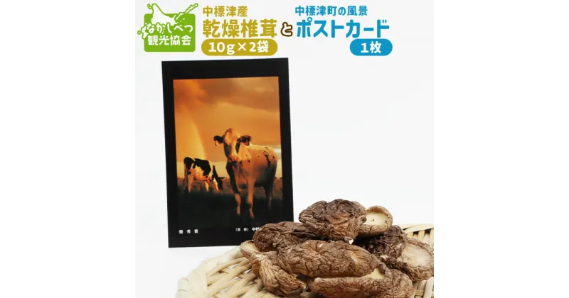 【ふるさと納税】中標津産乾燥椎茸 10g×2袋 計20g　なかしべつ観光協会バージョン ｜ 椎茸 セット ポストカード 2000 2000円 乾燥椎茸 北海道 ふるさと納税 オンライン申請 ワンストップ マイページ 中標津町 出汁 風景 セ【32008】