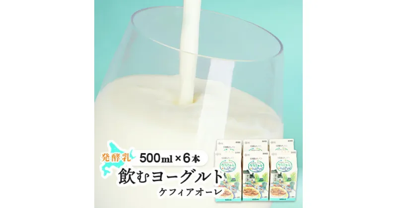 【ふるさと納税】ケフィアオーレ 500ml 6本 オンライン 申請 ふるさと納税 北海道 中標津 のむヨーグルト 乳製品 乳飲料 健康 朝食 スイーツ 免疫力アップ 善玉菌 整腸 カルシウム 美容 美肌 疲労回復 お取り寄せ 中標津町【14035】