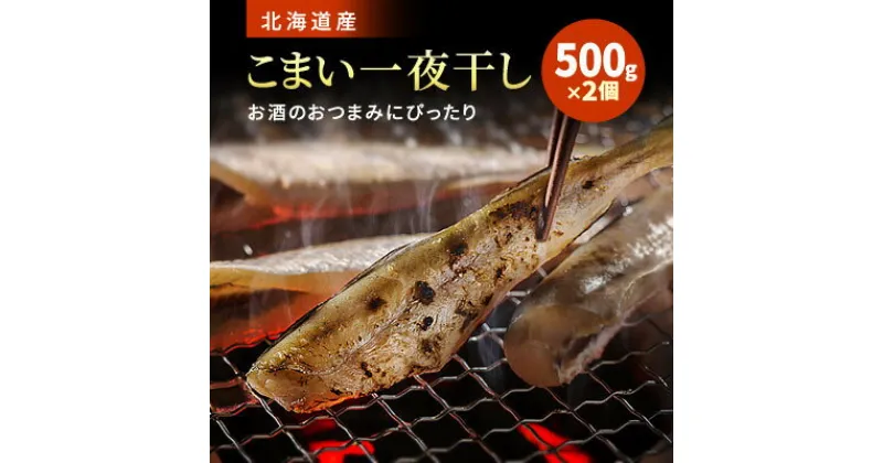 【ふるさと納税】北海道産 こまい一夜干し 500g×2個【配送不可地域：離島】【1111807】