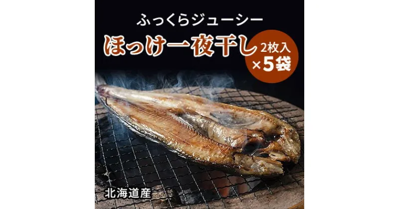 【ふるさと納税】北海道産 天然ほっけ一夜干しセット 2枚入×5袋【配送不可地域：離島】【1133087】